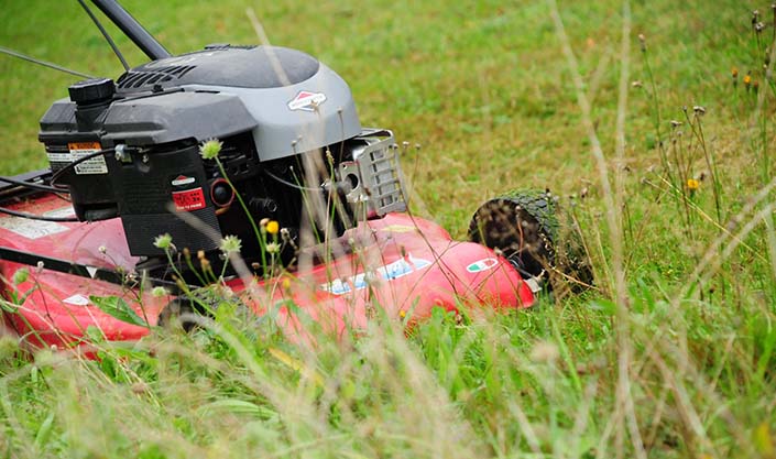 Mulching lawnmower 4