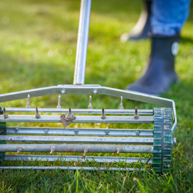 Picture of grass aerator on the green lawn