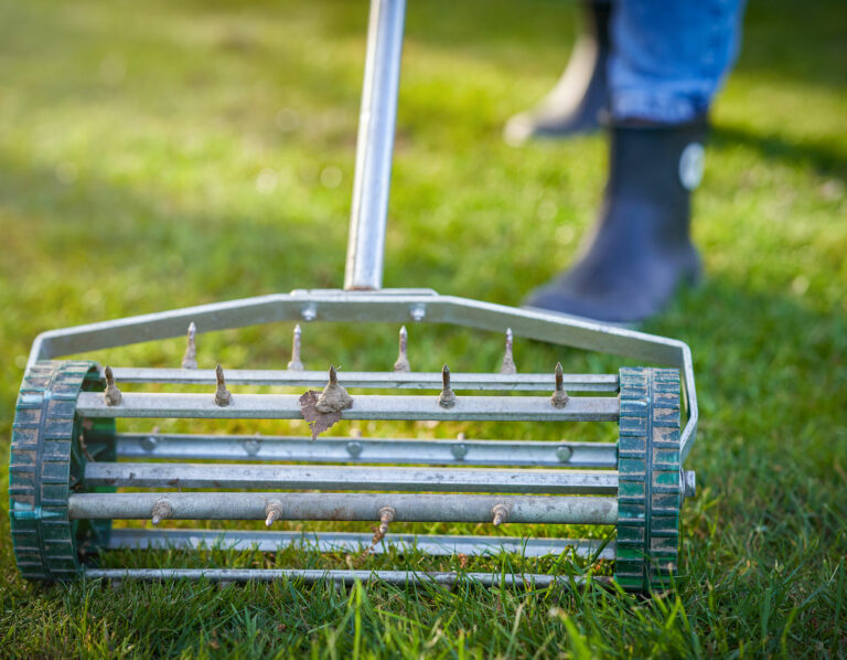 The Essential Guide to Lawn Aeration: Breathe Life into Your Garden